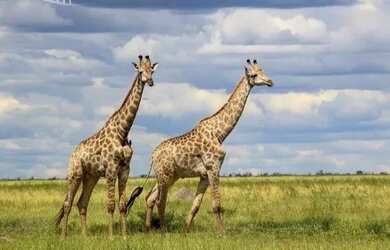 Imagem 14: Apartamento residencial para Venda Centro, Campinas