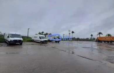 Imagem 4: Galpão Logístico para Venda - 10.018 m² - Rod. Edgard Zambrotto - Jarinu...