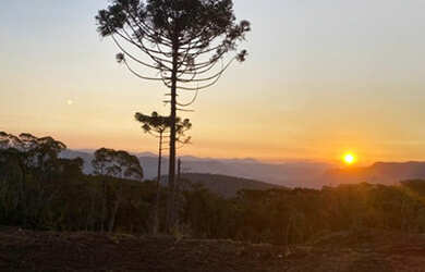 Imagem: Terreno com uma vista Surreal em Urubici
