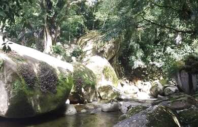 Imagem 16: Lote/Terreno para venda tem 846 metros Limoeiro Guapimirim - RJ