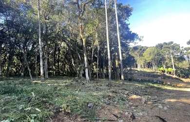 Imagem 8: Terreno 20.000 m² em Urubici