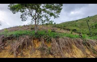 Imagem: O terreno possui 4.500m² de Área e está localizado em Ipojuca