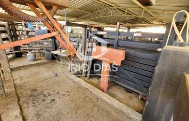 Imagem 14: Fazenda para Venda em Curvelo, Área Rural de Curvelo, 3 dormitórios,...