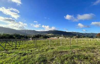 Imagem 8: Sitio - Bairro Tapera. 70.000m² de Área