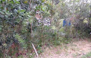 Imagem 6: Villa Suíça. Terreno 359m2. R$175.000,00