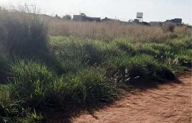 Imagem: A chácara possui 1000m² de Área e está localizado em Martins