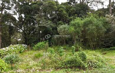 Imagem: O terreno possui 1.552m² de Área e está localizado em Canela