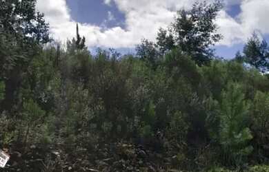 Imagem 4: Terreno - Bairro Dutra. Imóvel novoe450m² de Área