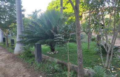 Imagem 14: VENDO LINDA CHACARA DE 7000 M² NA ESTRADA DE ACESSO PARA JURAMENTO COM...