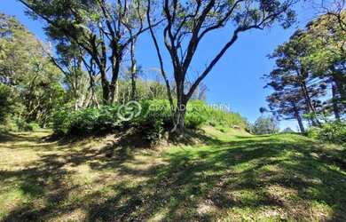 Imagem 8: AREA DE TERRAS COM VISTA DA MONTANHA