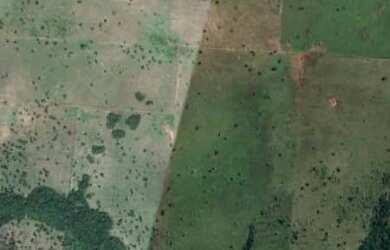 Imagem 7: Vendo fazenda em Formoso do Araguaia TO