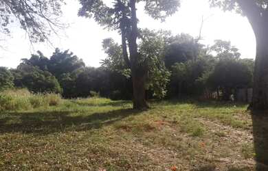 Imagem 3: Terreno para venda tem 1330 metros quadrados em Santa Cruz - Brotas -...