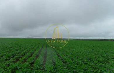 Imagem 7: Fazenda à Venda Unaí/MG 472 ha