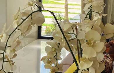 Imagem 6: Casa à venda em Condomínio Grand Royalle com 550m², 5 Quarto(s), 3 Suíte(s) e 6 Vaga(s)