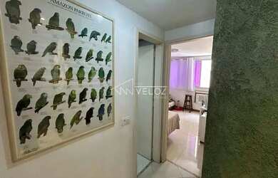 Imagem 4: Apartamento - / Residencial / Flamengo