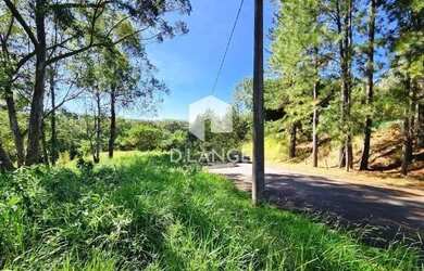 Imagem 15: Terreno à venda no bairro Joaquim Egídio em Campinas