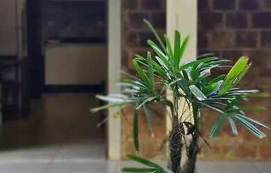 Imagem 1: Casa na praia dos Carneiros Tamandaré próxima ao Hotel Marinas