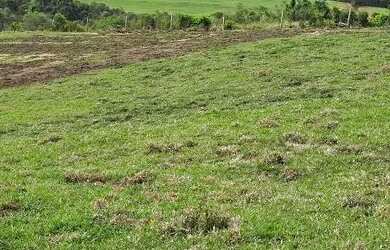 Imagem 4: Chácara de 21 mil metros por apenas 15 reais o metro