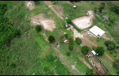 Imagem: A fazenda está localizado em Plano Diretor Sul, Palmas à venda