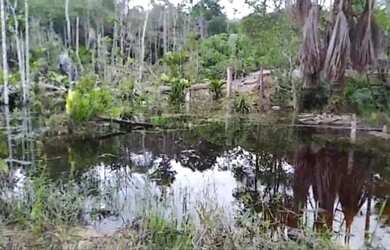 Imagem: A chácara possui 135.000m² de Área, Imóvel novo e está