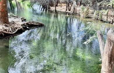 Imagem: A fazenda possui 55.000m² de Área e está localizado em Piranga