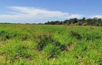 Imagem: A fazenda e está localizado em Plano Diretor Sul, Palmas à