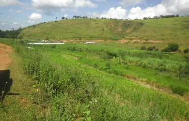 Imagem 8: Fazenda Santa Maria, município de Córrego Novo-MG