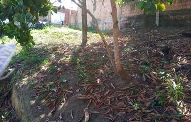 Imagem 3: Venda de terreno. 