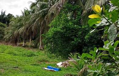 Imagem: A chácara possui 200000m² de Área e está localizado em Rio