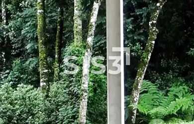 Imagem 12: Casa à venda no São Lourenço 3 suítes, 3 vagas ao lado do parque São...