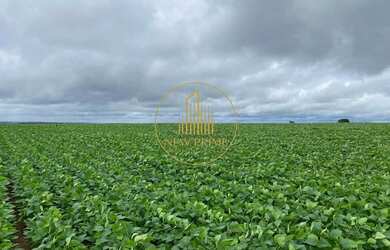 Imagem 6: Fazenda à Venda Unaí/MG 472 ha