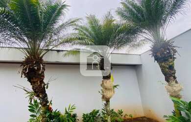 Imagem 12: Casa para venda no bairro Morada da Colina