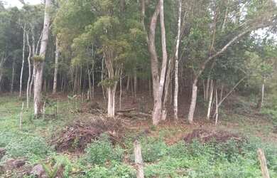 Imagem 13: Oportunidade 3 mil mts 57 mil reais