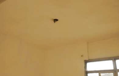 Imagem 16: MADUREIRA - Apartamento para locação FIRMINO FRAGOSO