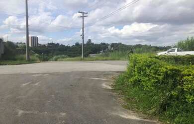 Imagem 2: AREA - LARANJA AZEDA - SP