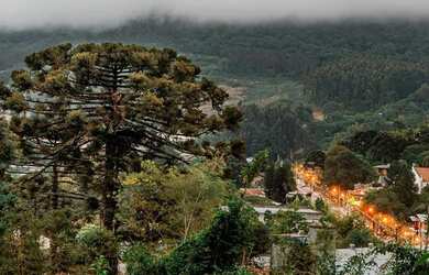 Imagem: O terreno possui 484m² de Área e está localizado em Gramado