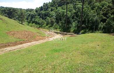 Imagem 6: Chácara para Venda em Almirante Tamandaré, Pacotuba