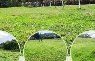 Imagem: O terreno possui 600m² de Área e está localizado em Centro