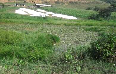 Imagem 13: Fazenda Santa Maria, município de Córrego Novo-MG
