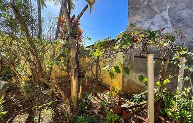 Imagem 9: Casa Térrea à venda com 2 dormitórios e churrasqueira no quintal na...