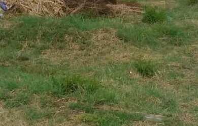 Imagem 2: Terreno a venda campo grande