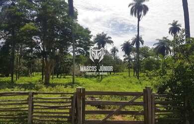 Imagem: A fazenda possui 1m² de Área e está localizado em Brasília