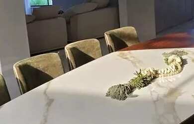 Imagem 8: Ponta Negra 1, Mansão 980m2, 4 suites, Elevador, Lazer Privativo. Subsolo. MOBILIADA