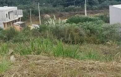 Imagem 4: Terreno Bairro Industrial