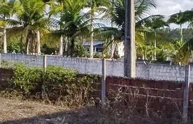 Imagem 3: Térrea para venda possui 110 metros quadrados com 1 quarto em Zona Rural - São José de Mip