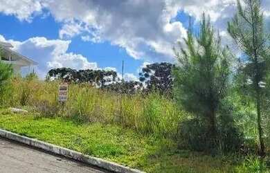 Imagem 4: Terreno à Venda em Gramado no Loteamento Marsal