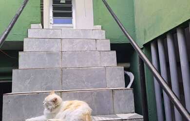 Imagem: O quarto possui 1 Dormitório e Acomodam 3 pessoas e está localizado