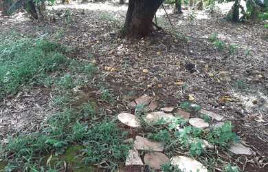 Imagem 6: Terreno à venda, 946 m² por R$ 994.000,00 - Vila Cordenonsi - Americana/SP