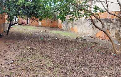 Imagem 3: Lote 300 metros quadrados a venda Bairro de Lourdes