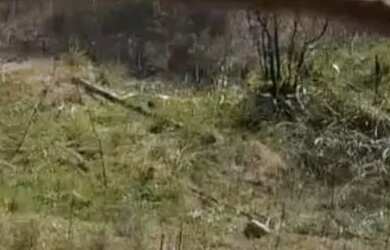 Imagem 3: Jardim Luana Terreno. 160m² de Área